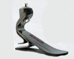 假肢價(jià)格是由什么決定的呢?(圖1) 假肢價(jià)格是由什么決定的呢?(圖1)